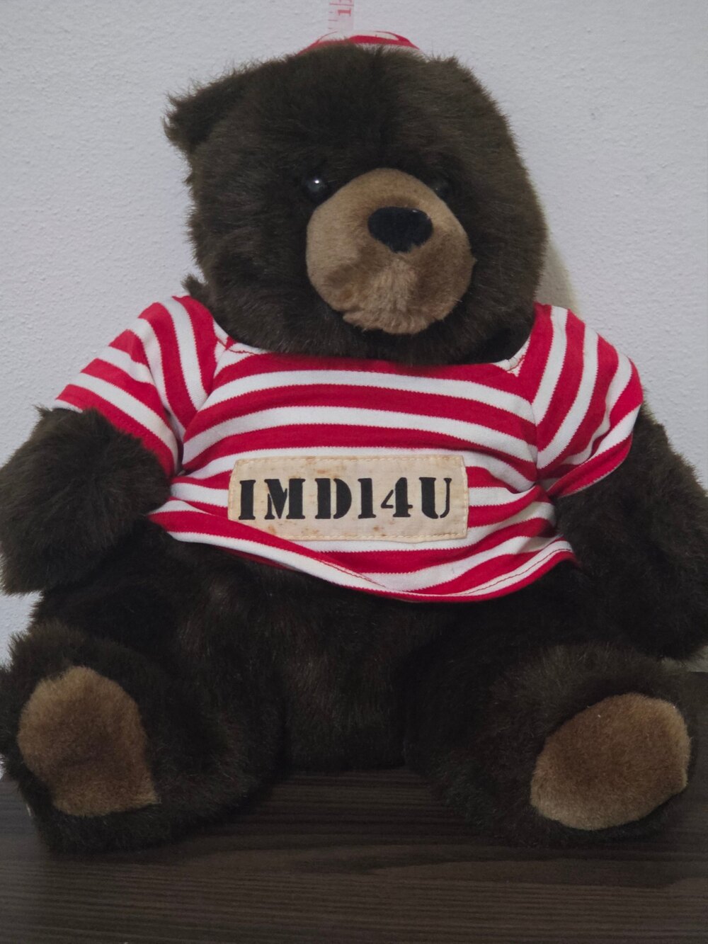 vintage Hallmark "Prisoner of Love" Grizzly Bear (Model IMD14U)